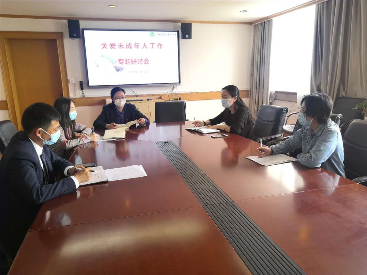 0511关爱未成年人工作专题研讨会.jpg 0511关爱未成年人工作专题研讨会.jpg